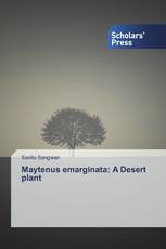 Maytenus emarginata: A Desert plant