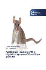 Anatomical studies of the digestive system of the african giant rat