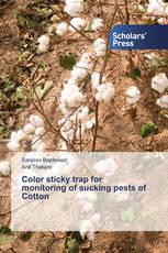 Color sticky trap for monitoring of sucking pests of Cotton