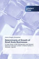 Determinants of Growth of Small Scale Businesses