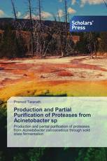 Production and Partial Purification of Proteases from Acinetobacter sp