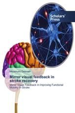 Mirror visual feedback in stroke recovery