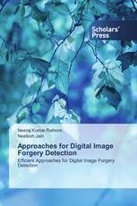 Approaches for Digital Image Forgery Detection