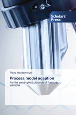 Process model adaption