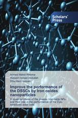 Improve the performance of the DSSCs by Iron oxides nanoparticles