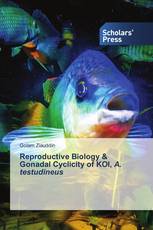 Reproductive Biology & Gonadal Cyclicity of KOI, A. testudineus