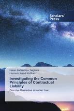 Investigating the Common Principles of Contractual Liability