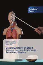 General Anatomy of Blood Vessels, Nervous System and Respiratory System