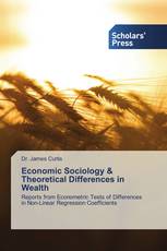 Economic Sociology & Theoretical Differences in Wealth