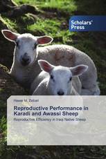 Reproductive Performance in Karadi and Awassi Sheep