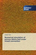 Numerical simulation of porous debris bed under mixed convection