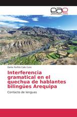 Interferencia gramatical en el quechua de hablantes bilingües Arequipa