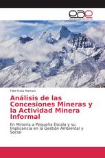 Análisis de las Concesiones Mineras y la Actividad Minera Informal