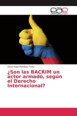 ¿Son las BACRIM un actor armado, según el Derecho Internacional?