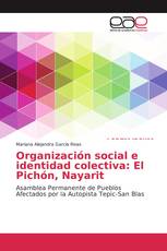 Organización social e identidad colectiva: El Pichón, Nayarit