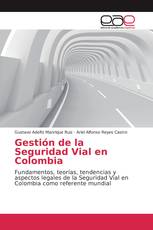 Gestión de la Seguridad Vial en Colombia