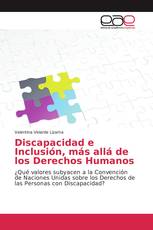 Discapacidad e Inclusión, más allá de los Derechos Humanos