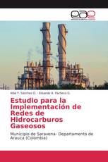 Estudio para la Implementación de Redes de Hidrocarburos Gaseosos