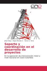 Soporte y coordinación en el desarrollo de proyectos