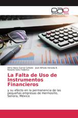 La Falta de Uso de Instrumentos Financieros