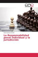 La Responsabilidad penal individual y la jurisdicción