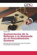 Sustanciación de la Reforma a la Demanda en el Procedimiento Sumario