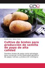 Cultivo de brotes para producción de semilla de papa de alta calidad