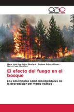 El efecto del fuego en el bosque