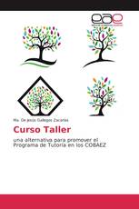 Curso Taller