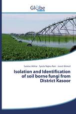 Isolation and Identification of soil borne fungi from District Kasoor