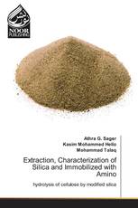 Extraction, Characterization of Silica and Immobilized with Amino