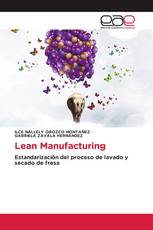 Lean Manufacturing