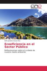 Ecoeficiencia en el Sector Público