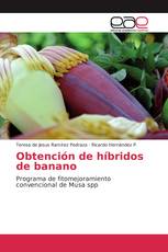 Obtención de híbridos de banano