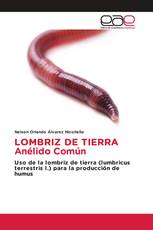 LOMBRIZ DE TIERRA Anélido Común