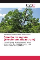 Semilla de ramón (Brosimum alicastrum)