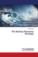 The Backup Recovery Strategy
