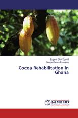 Cocoa Rehabilitation in Ghana