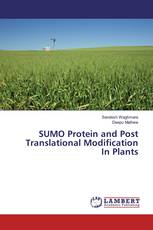 SUMO Protein and Post Translational Modification In Plants