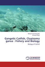 Gangetic Catfish, Clupisoma garua : Fishery and Biology