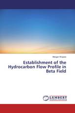Establishment of the Hydrocarbon Flow Profile in Beta Field