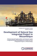 Development of Natural Gas Integrated Project in Mozambique