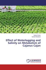 Effect of Waterlogging and Salinity on Metabolism of Cajanus Cajan