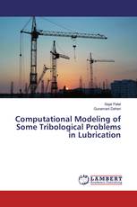 Computational Modeling of Some Tribological Problems in Lubrication