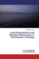 Land Degradation and Adaptive Mechanism in Northeastern Wollega