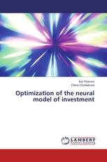 Optimization of the neural model of investment