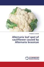 Alternaria leaf spot of cauliflower caused by Alternaria brassicae