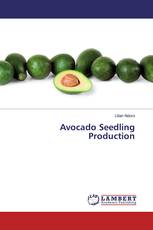 Avocado Seedling Production