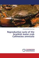 Reproductive cycle of the brackish water crab Callinectes amnicola