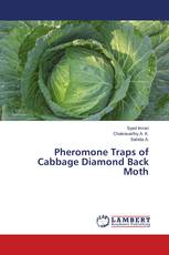 Pheromone Traps of Cabbage Diamond Back Moth